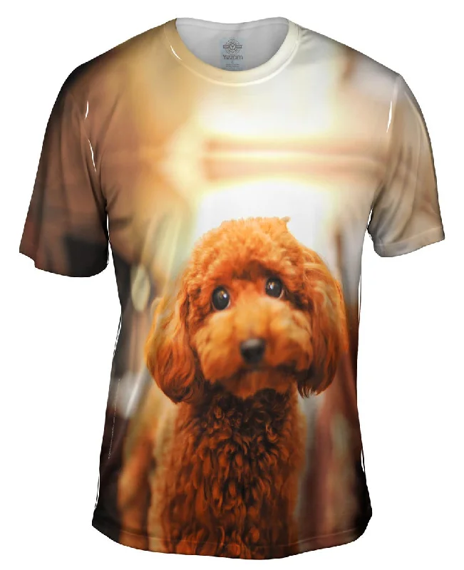 Tie Dye T-shirt-Toy Poodle Droopy Eyes