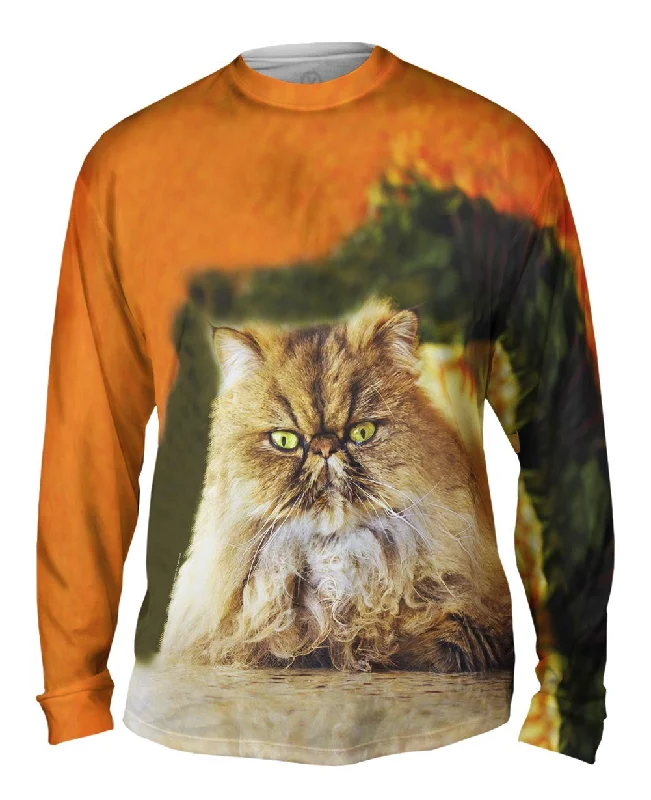 Stylish Zip Long Sleeve Top-Furball Kitten