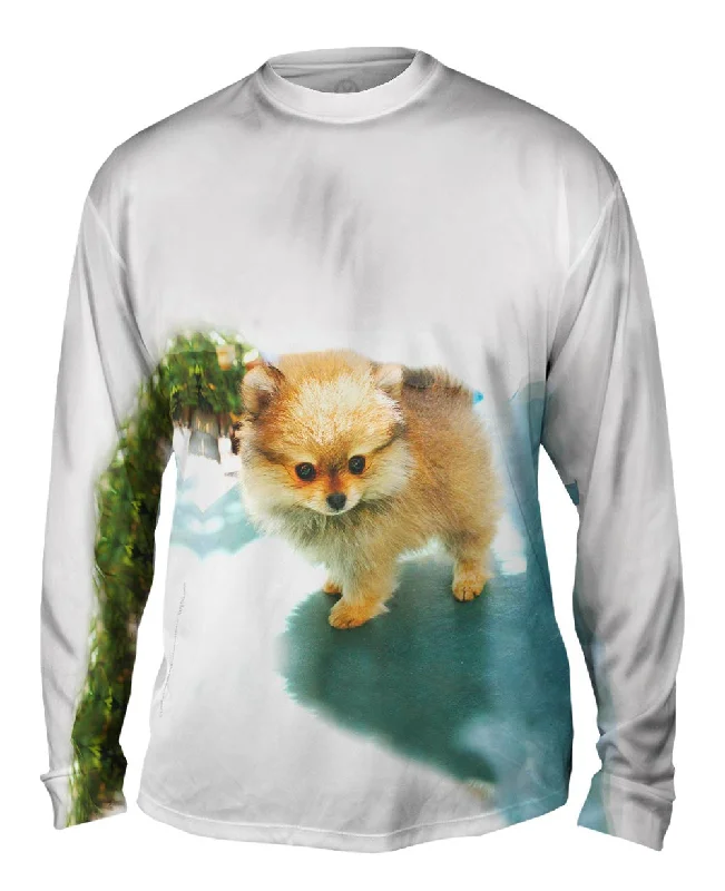 Relaxed Long Sleeve Top-Fluffy Pomeranian