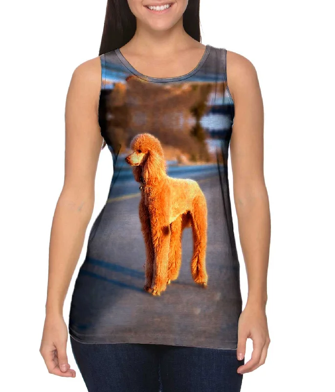 Fun Summer Graphic Tank-Dusty Poodle