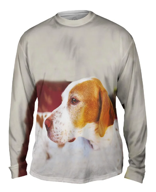 Trendy Striped Long Sleeve-English Pointer Vigilant